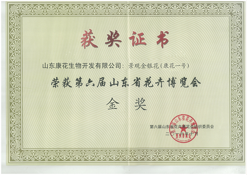 榮譽(yù)資質(zhì)二